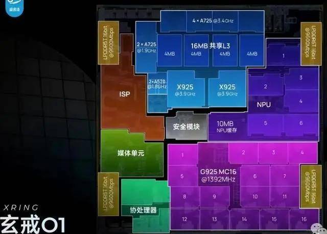 ic外汇平台资金安全吗丁绿农产品销售专业协作社—— “韭”香不怕巷子深